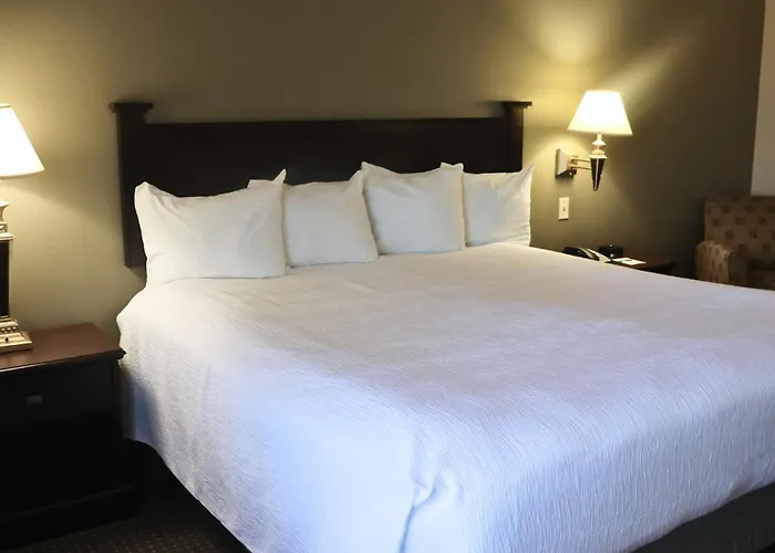 Wingate By Wyndham - Complimentary Area Shuttle Hotel Peoria