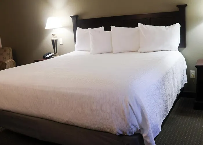 Wingate By Wyndham - Complimentary Area Shuttle 3* Peoria