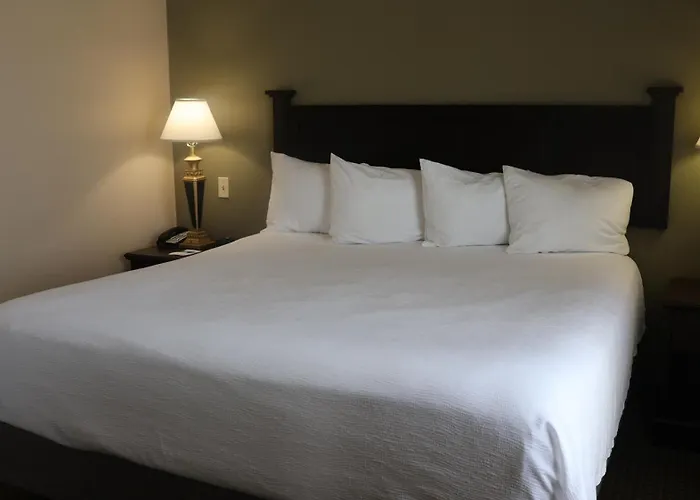 Wingate By Wyndham - Complimentary Area Shuttle