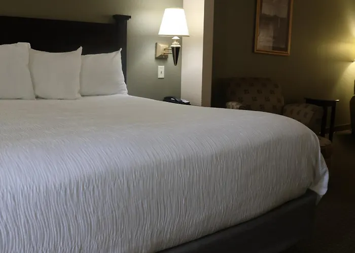 Wingate By Wyndham - Complimentary Area Shuttle Peoria