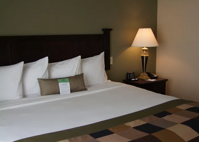 Hotel Wingate By Wyndham - Complimentary Area Shuttle