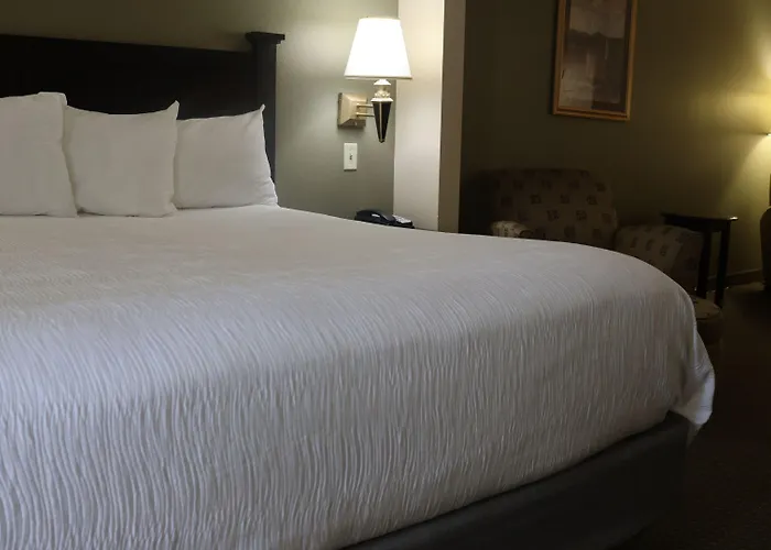 Wingate By Wyndham - Complimentary Area Shuttle 3* Peoria