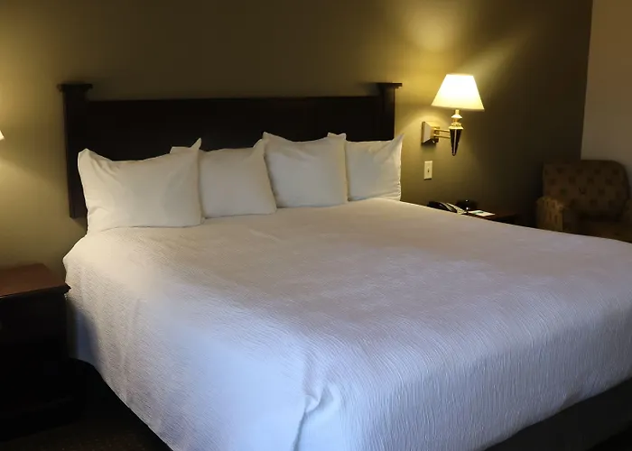 Wingate By Wyndham - Complimentary Area Shuttle Hotel 3*