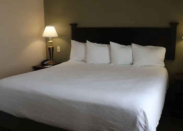 Hotel Wingate By Wyndham - Complimentary Area Shuttle 3*